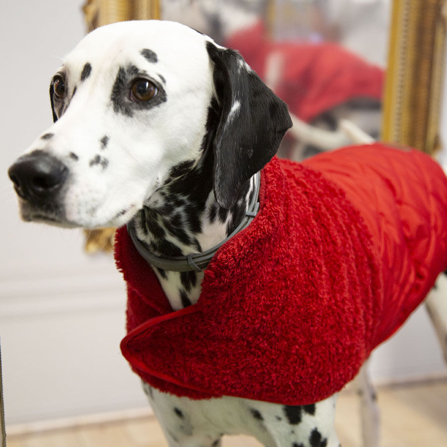 Outech Bi-Texture Abrigo Rojo para perros, , large Imagen numero 8